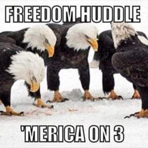 Meet your Posher, Debra